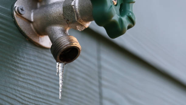 Best Local Plumber Services  in Iola, WI
